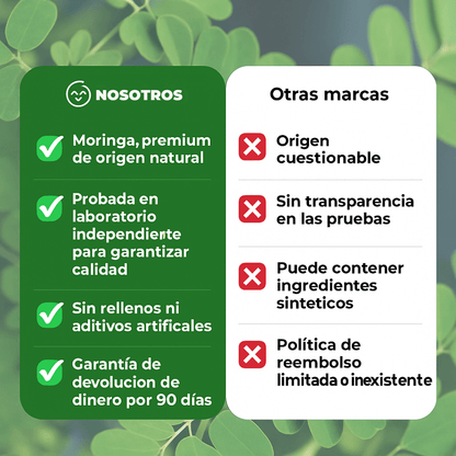 Moringa - Reduce Naturalmente el Cortisol para Ayudar a Restaurar el Equilibrio
