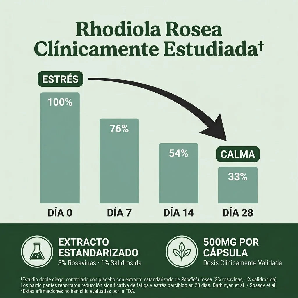Rhodiola Rosea | Cortisol Alto. Energía Baja. Esto lo Cambia.