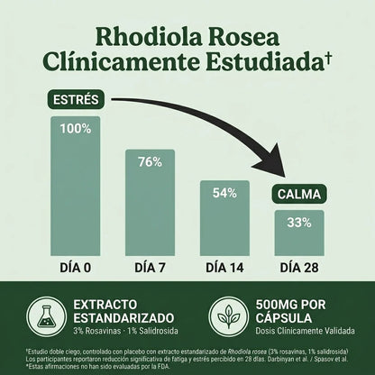 Rhodiola Rosea | Cortisol Alto. Energía Baja. Esto lo Cambia.