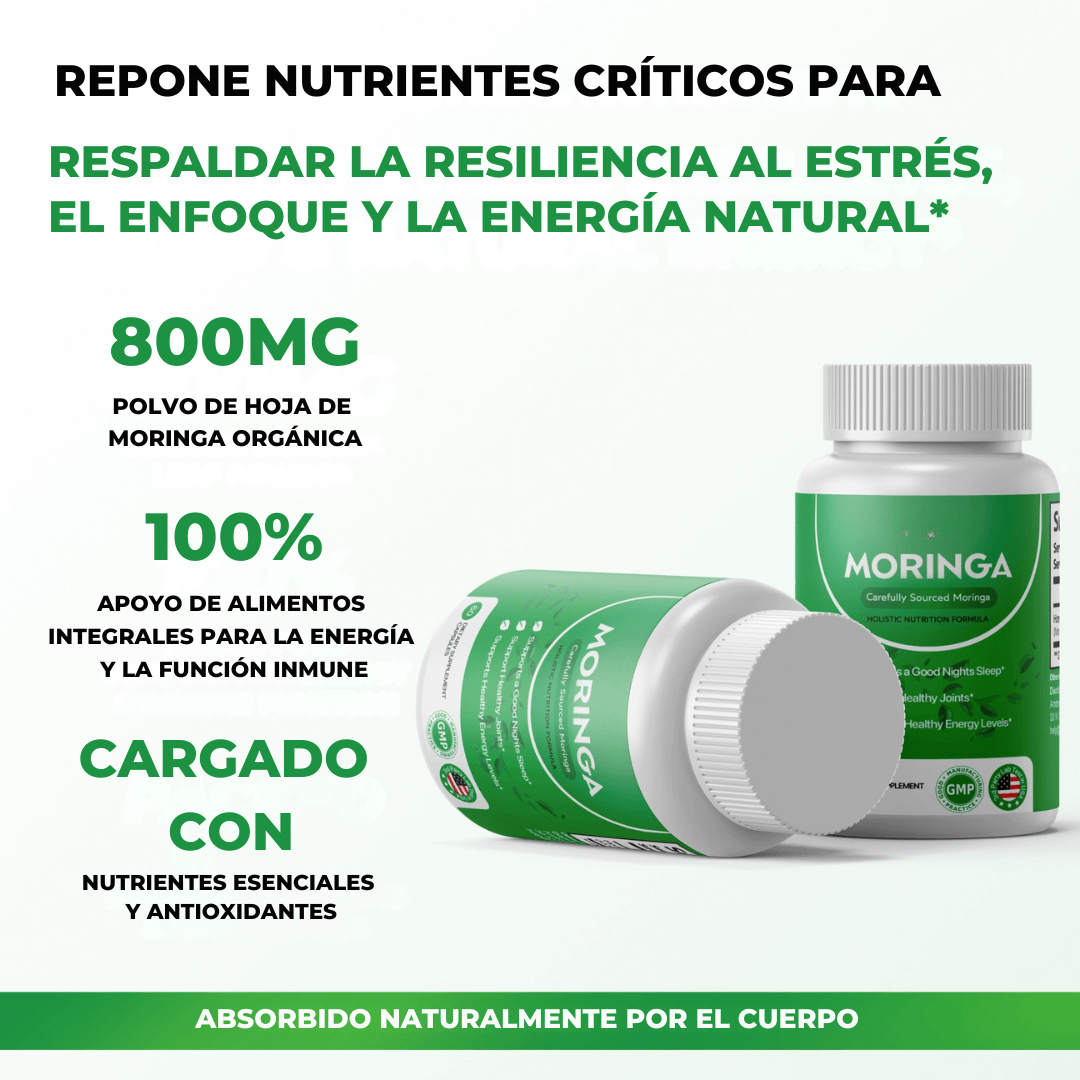Moringa - Reduce Naturalmente el Cortisol para Ayudar a Restaurar el Equilibrio