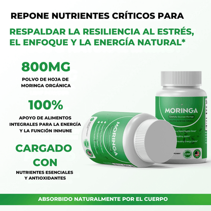 Moringa - Reduce Naturalmente el Cortisol para Ayudar a Restaurar el Equilibrio