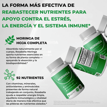 Moringa - Reduce Naturalmente el Cortisol para Ayudar a Restaurar el Equilibrio