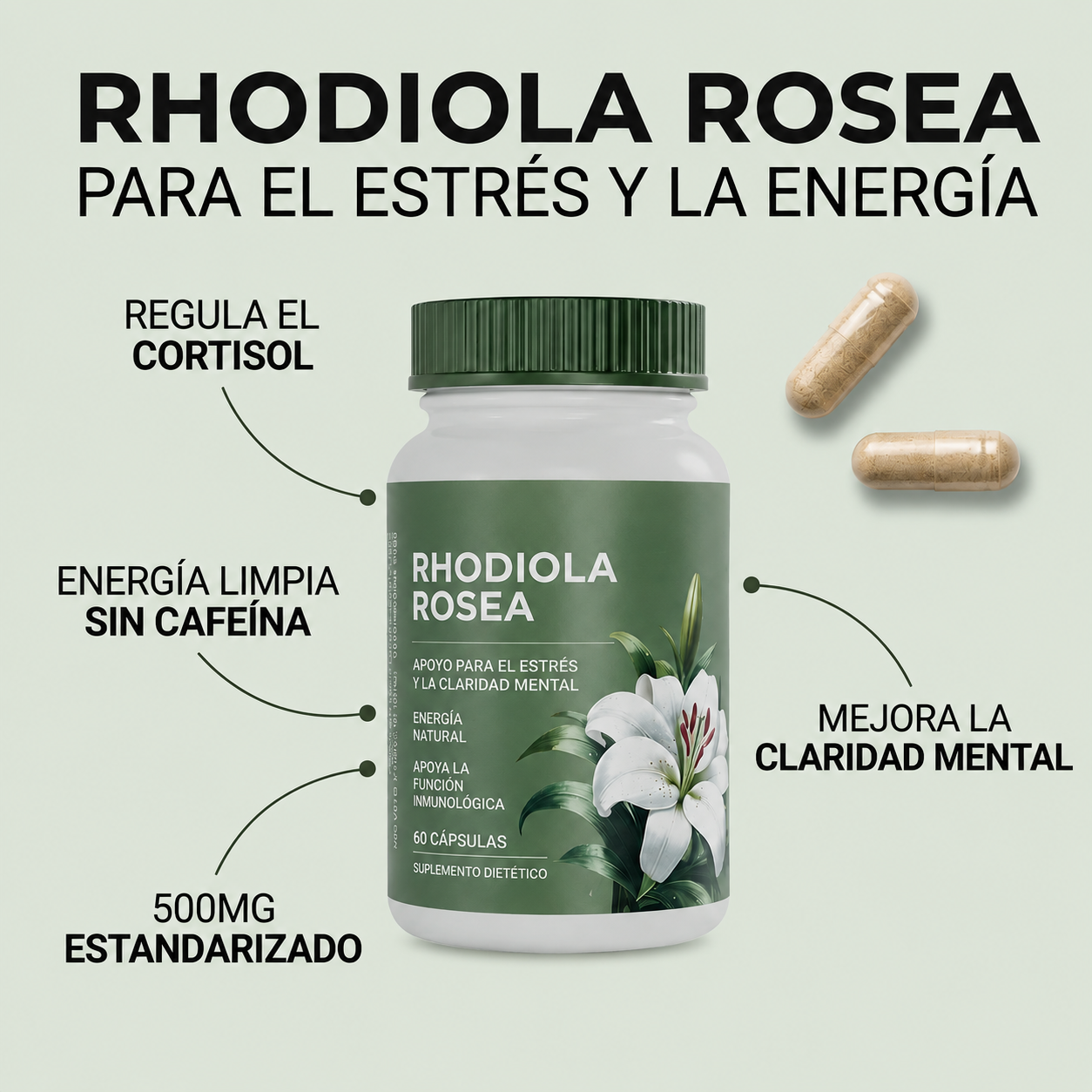 Rhodiola Rosea | Cortisol Alto. Energía Baja. Esto lo Cambia.
