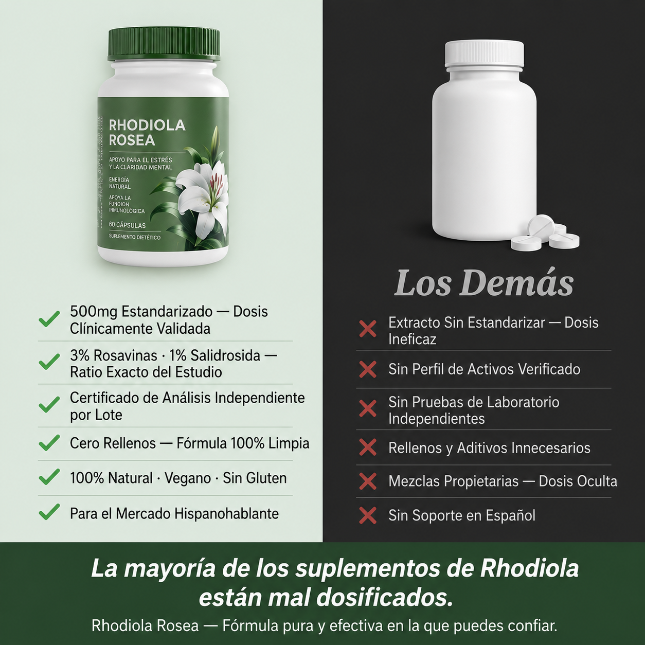 Rhodiola Rosea | Cortisol Alto. Energía Baja. Esto lo Cambia.