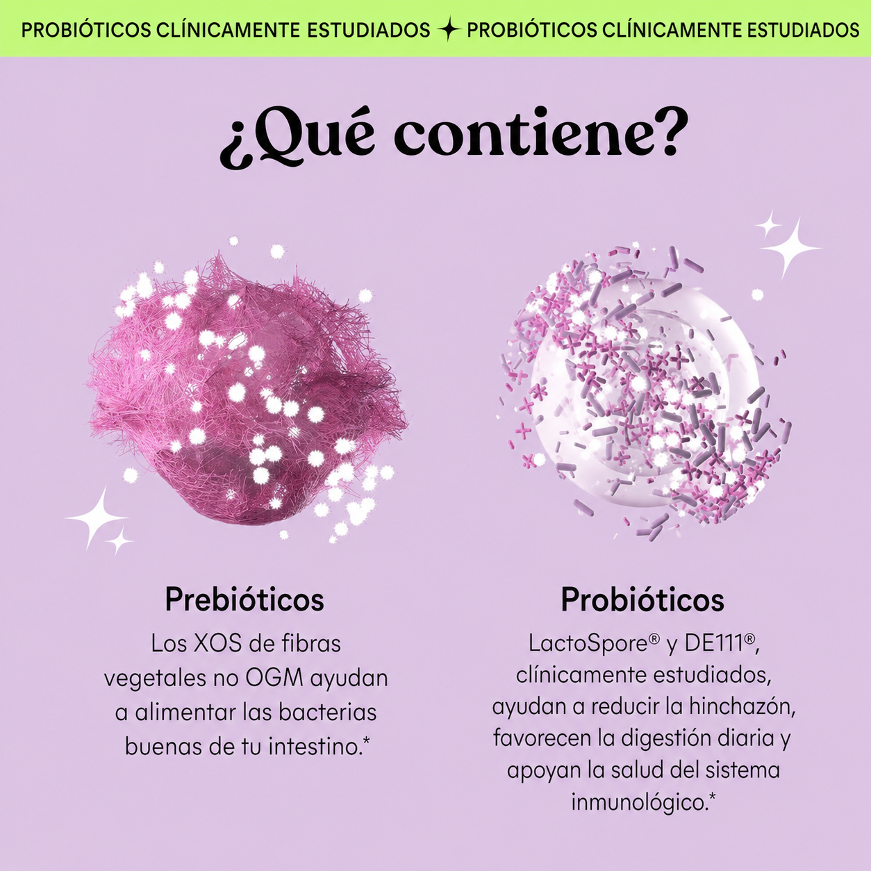 Lemme Debloat | Ayuda a Reducir la Sensación de Hinchazón, Favorece una Digestión Saludable