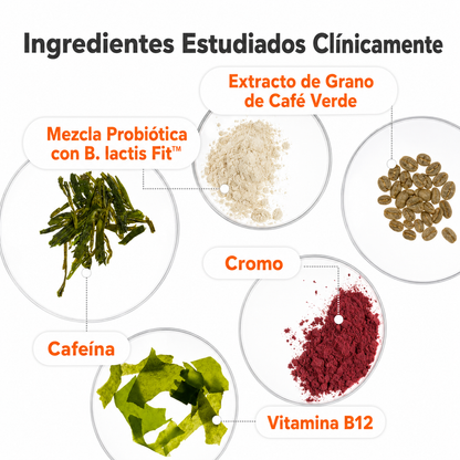 URO® |Cápsulas de Apoyo para el Metabolismo y los Probióticos